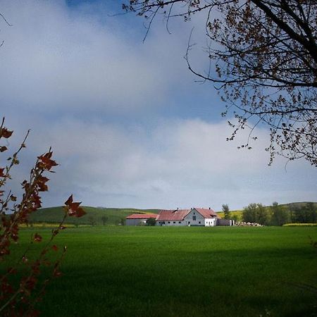Löderup Bed & Breakfast Vinkille المظهر الخارجي الصورة