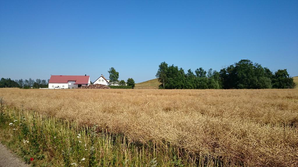 Löderup Bed & Breakfast Vinkille المظهر الخارجي الصورة