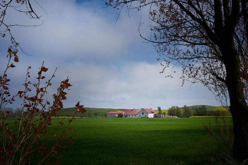 Löderup Bed & Breakfast Vinkille المظهر الخارجي الصورة